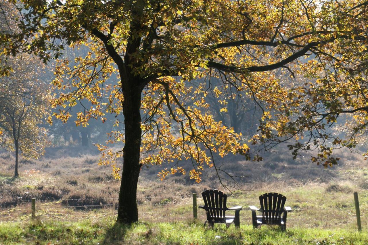 Inn The Woods - Private Stay Overberg Екстер'єр фото
